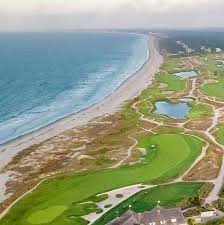 Seizures, Spells and Shakes: Neurology for the Non-Neurologist 2026 - Kiawah Banner